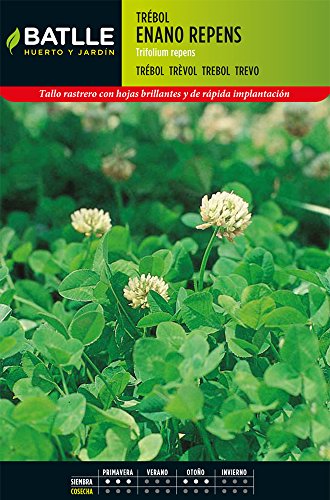Productos Jardineria- Trebol Blanco Enano Repens, Multicolore, 043902K5