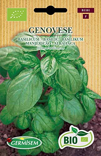 Germisem Biologico Genovese Semi Di Basilico 2 G