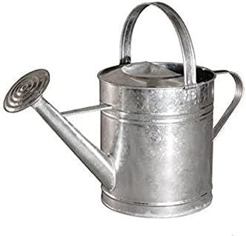 Linea Garden Friend Innaffiatoio 5 Litri Zincato