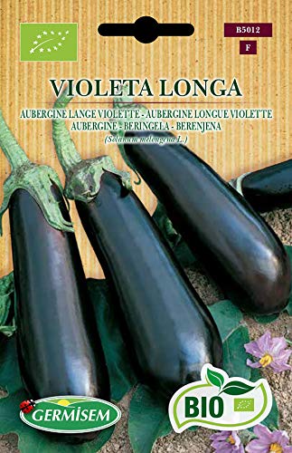 Germisem Biologico Violeta Longa Semi Di Melanzana 1 G