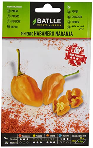 Semillas Batlle Peperone Habanero Arancione