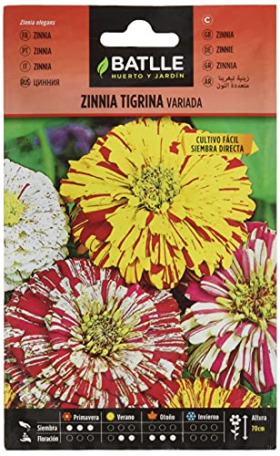Semillas Batlle Zinnia Tigrina Vario