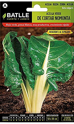 Semi Di Ortaggi Batlle - Green Cut Mangold Nomonta (600 Semi)