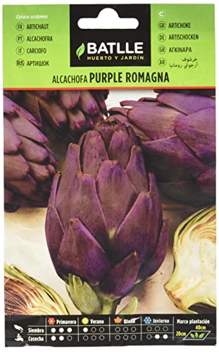 Semillas Batlle Soffione Viola Romagna