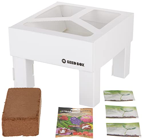 Huerto Urbano - Seed Box Orto - Batlle