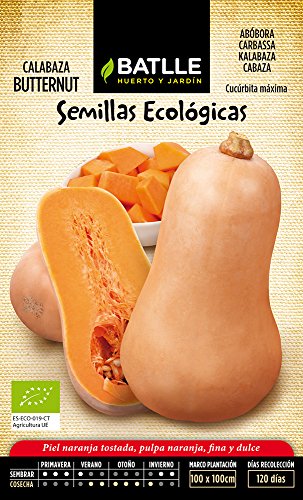 Semi Ecologici Orticole - Zucca Butternut - Eco - Batlle