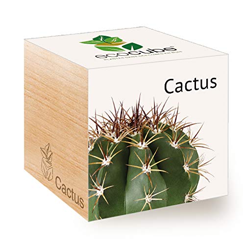 Feel Green - Ecocube, Idea Regalo (100% Ecologica), Kit Per Far Crescere La Propria Pianta, Piante In Cubi Di Legno Da 7,5 Cm, Prodotto In Austria