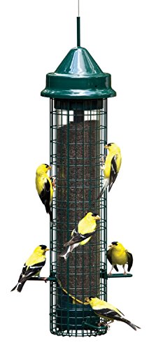 Brome 1016 Squirrel Buster Finch Feeder