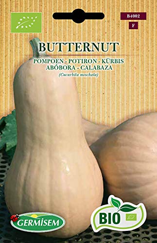 Germisem Biologico Butternut Semi Di Zucca 2 G