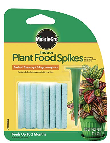 Miracle-Gro 1002522 Pianta Da Interno Spike Food, 1.1 Once