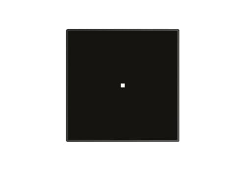 Piano Cottura Induzione 1 Fuoco Da 30 Cm Piano Vetroceramica