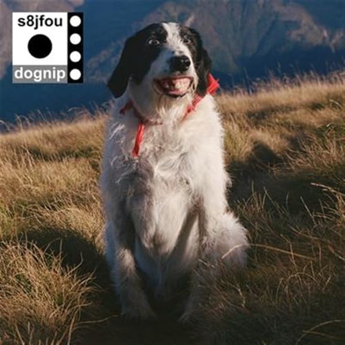 Dognip