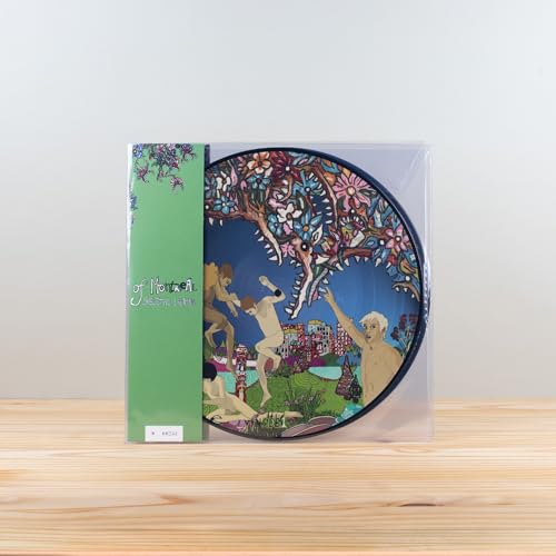 Skeletal Lamping (Picture Disc Edition)