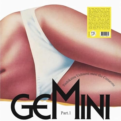Gemini Part. 1