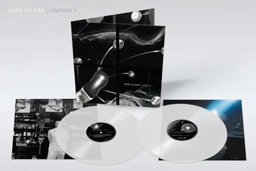 Camphor Ii (Rsd 25)