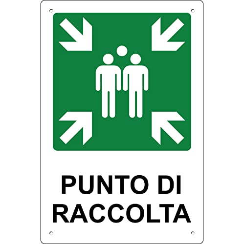 Pubblimania Punto Di Raccolta | Cartello Di Emergenza E Sicurezza In Alluminio Metallo Composito 3 Mm Di Spessore (Cm 20X30) (Punto Di Raccolta)