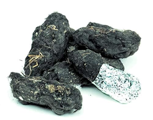 Pellet Barn Owl Pellet, Grande (Confezione Da 6)