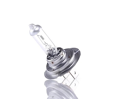 Philips Longlife Ecovision Lampadina Fari Auto 12972Llecoc1