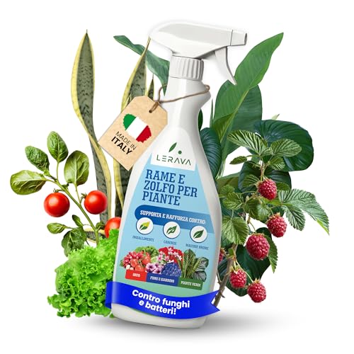 Lerava® Rame E Zolfo Per Piante - Spray 700Ml - Fungicida Per Piante - Ossicloruro Di Rame - Antiparassitario Piante - Zolfo - Concime Rame Per Piante