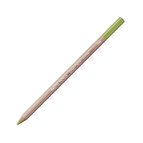 Caran D'Ache Pastel Pencils - Middle Moss Green 10%