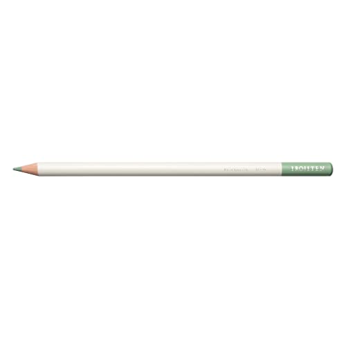 Tombow Ci-Rlg6 Irojiten Mist Green