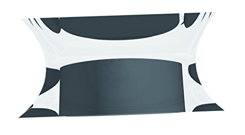 Franken Hmas10 - Timbro Magnetico Al Neodimio Super Forte, 20 X 20 X 10 Mm, Trasparente