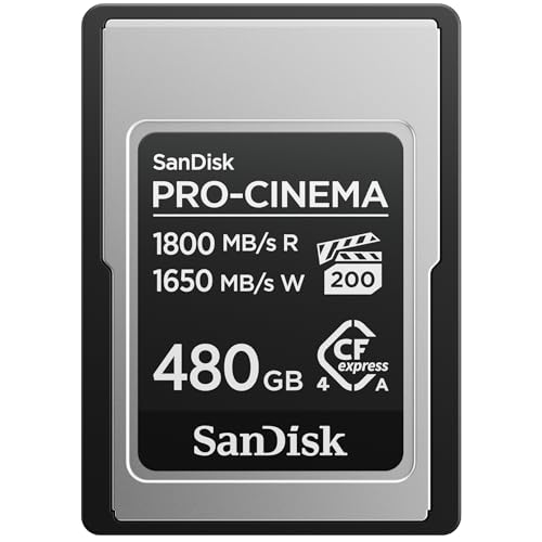 Sandisk Pro-Cinema Cfexpress Type A Scheda Da 480 Gb (Velocità Di Lettura Fino A 1800 Mb/S, Velocità Di Scrittura Fino A 1650 Mb/S, 4K, 6K, 8K, Vpg200