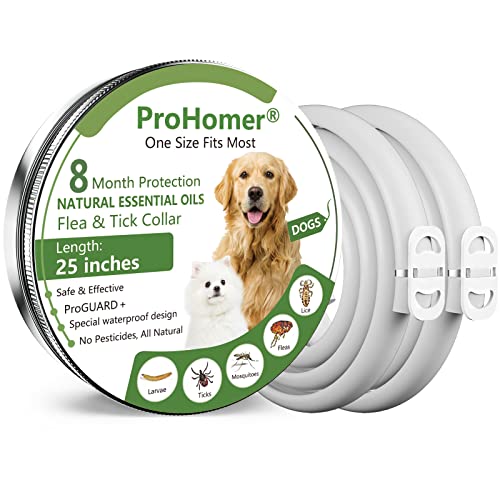 Prozadalan [2 Pcs] Collare Antipulci Cane,8 Mesi Di Efficacia Protezione, Formula Naturale, Collare Antipulci Regolabili Da 65 Cm Per Cani