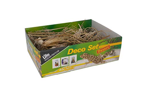 Lucky Reptile Set Decorativo Nano Terrario In Stile Deserto Con Materiali Naturali
