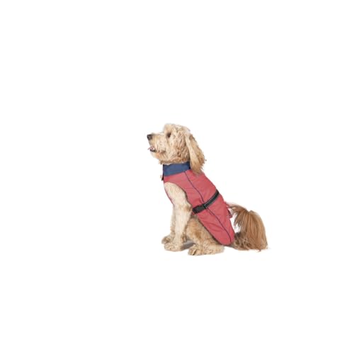 Dog Gone Smart Coral - Cappotto Antipioggia Per Cani, 35 Cm, Marca: Dog Gone Smart Ean: 0849670023540