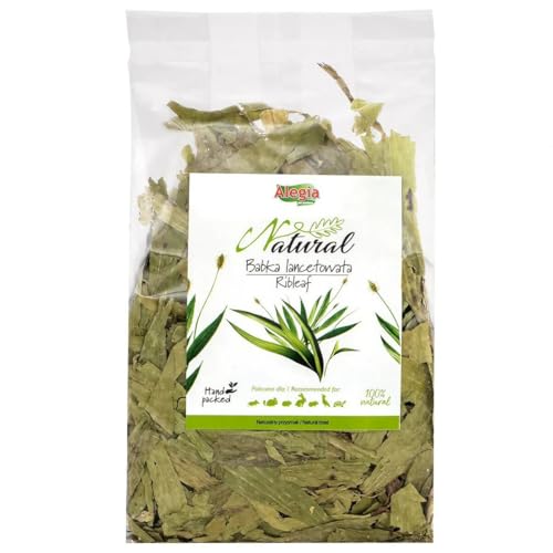 Alegia - Babka Lancetowata 100G