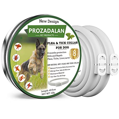 Collare Antipulci E Zecche Per Tutti I Tipi Di Cani, Regolabile Impermeabile, Antiparassitario, 8 Mesi Di Efficacia Protezione, 63Cm Taglia Unica (2Pa
