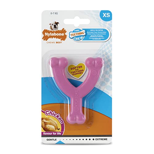 Nylabone, Cucciolo Giocattolo Da Mordere Ossa Desiderio, Rosa, Sapore Di Pollo, X-Small, Per Cuccioli Fino A 7 Kg