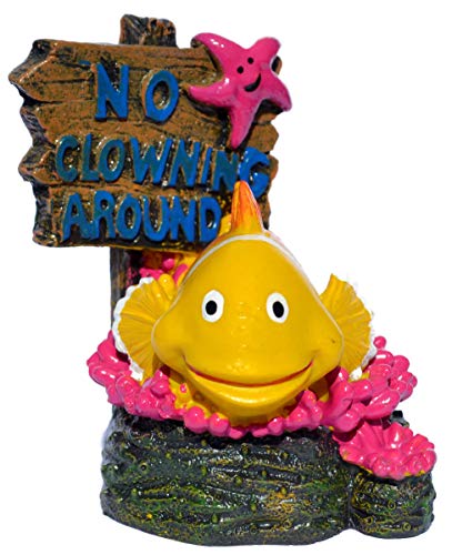 Supa No Fishing Sign, Pesce Pagliaccio