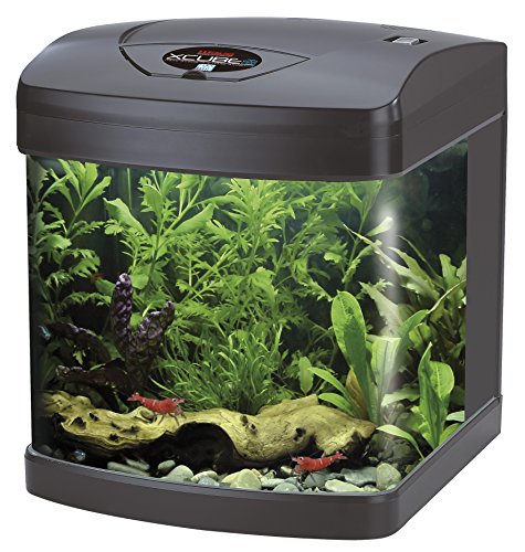 Wave Xcube Led Light,