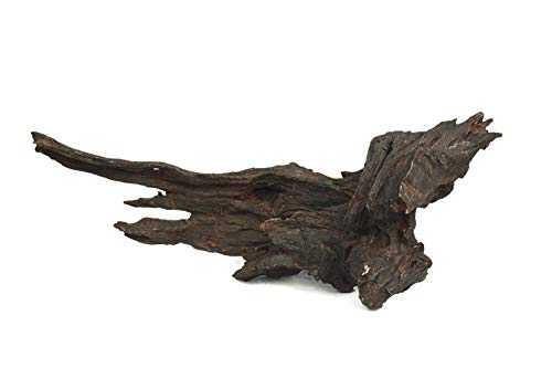 Lucky Reptile Dw M Driftwood Medio, M