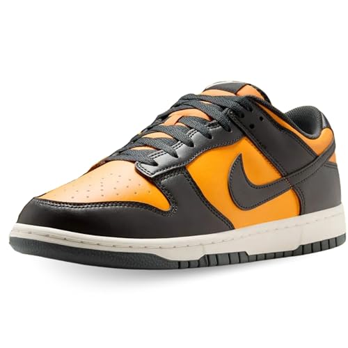 Nike Dunk Low Retro, Sneaker Uomo, Sundial Anthracite Sail, 43 Eu