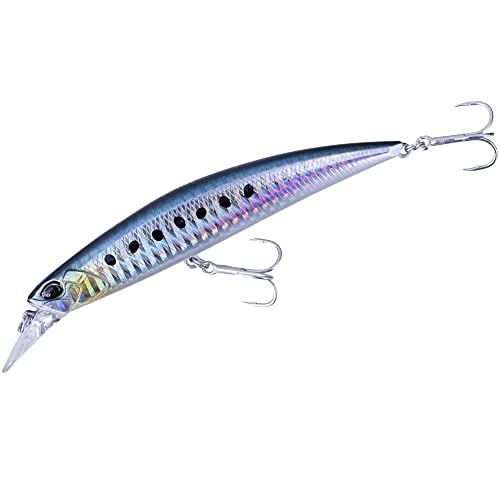 Duo - Ryuki 110S Sw Ltd Aha0011 Sardine