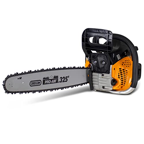Feider Motosega Termica 46 Cm³, Avviamento Manuale Easy Start, Guida E Catena Oregon, 46 Cm - Ftrtpro45