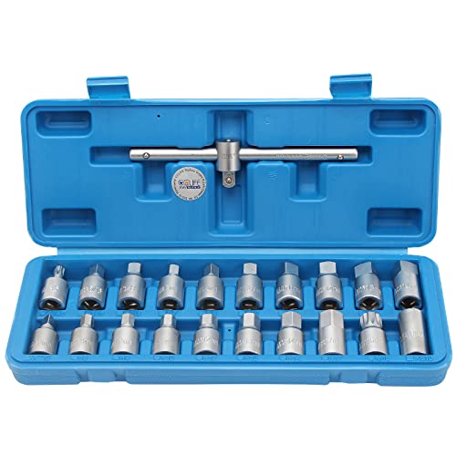 Cclife Set Chiavi Bussole Set Olio Tappo Di Scarico Noci 21 Pezzi Con Un Quadro Scorrevole