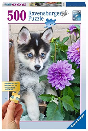 Ravensburger - Puzzle Cucciolo Di Husky, Gold Edition, Idea Regalo, Per Lei O Lui, 500 Pezzi, Puzzle Adulti