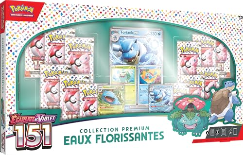 Pokémon Collezione Premium, Multicolore, 10-10124-104