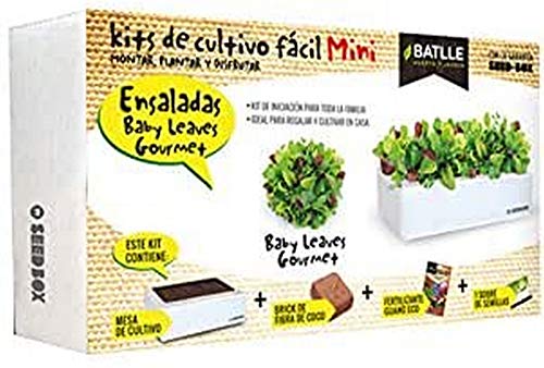 Productos Jardineria- Seed Box Mini Ensaladas, Colore Mehrfarbig, 160114Unid