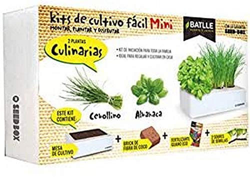 Productos Jardineria- Seed Box Mini Culinarias, Multicolore, 160113Unid