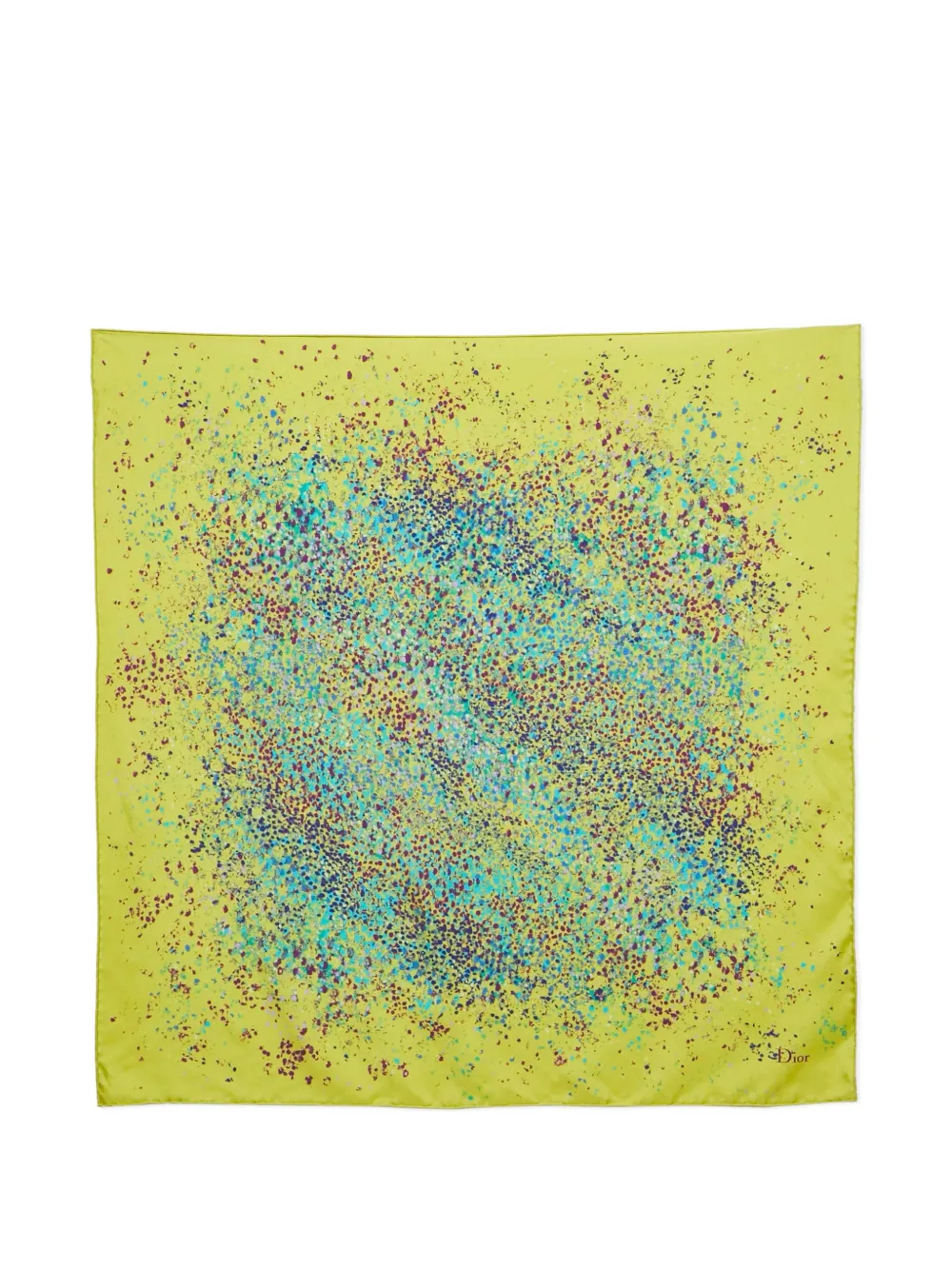 Christian Dior Pre-Owned 2024 printed scarf - Verde