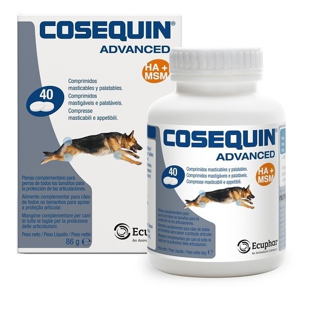 Nutramax - Nutramax Cosequin Gatti 15 Capsule