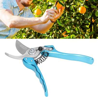Forbici da potatura da 22 mm, temprate, zincate, per innestare rami di frutta e fiori, potatura, forbici da giardino