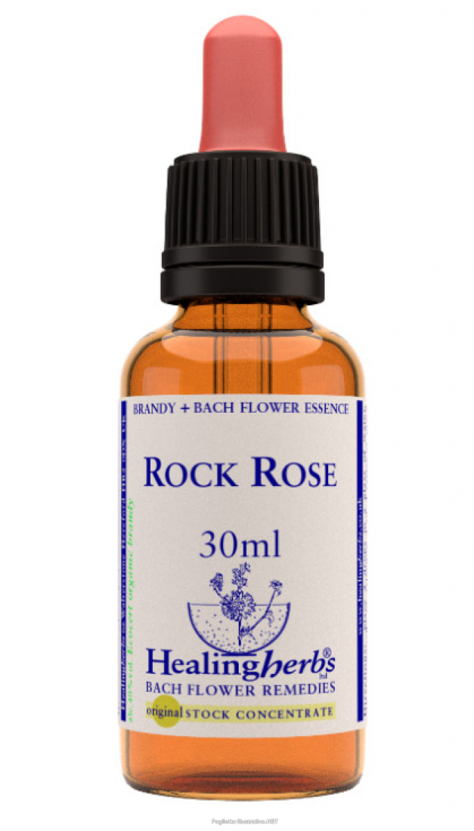 Rock Rose Bach Flower Remedies Heling Herbs 30ml