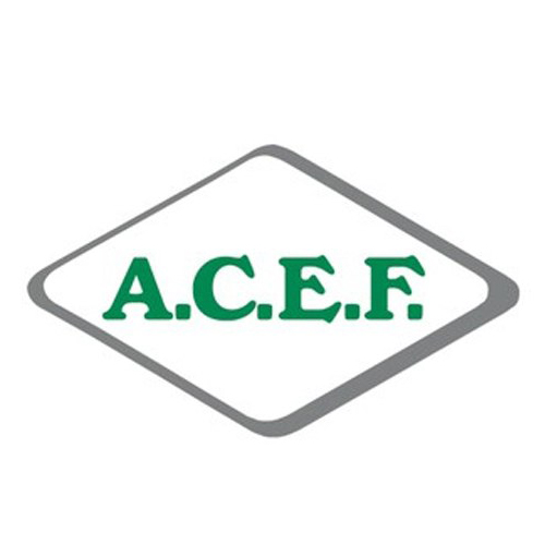 ASPARTAME USP ACEF 100g