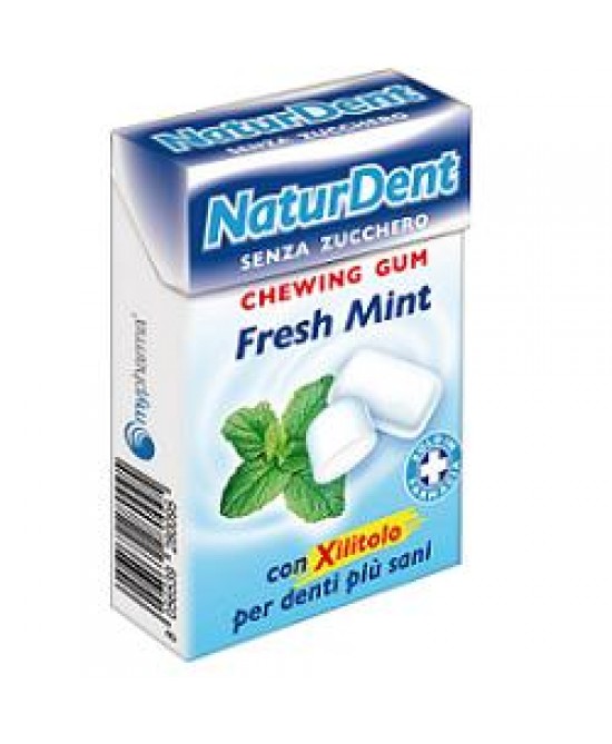 Naturdent Chewing Gum Fresh Mint
